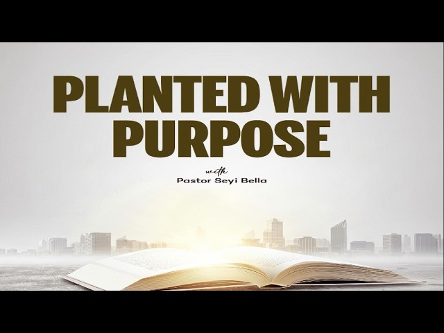 MIDWEEK SERVICE | PLANTED WITH PURPOSE | 7PM cover art