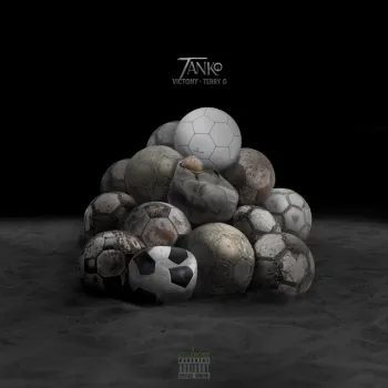 Tanko (feat. Terry G) cover art