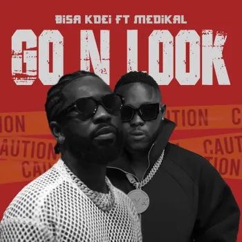 Go n Look cover art