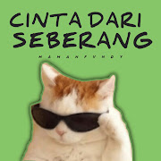Cinta Dari Sebrang