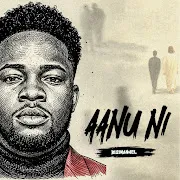 Amin cover art
