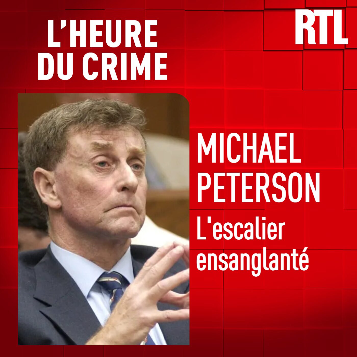 L'INTÉGRALE - Michael Peterson : l'escalier ensanglanté cover art