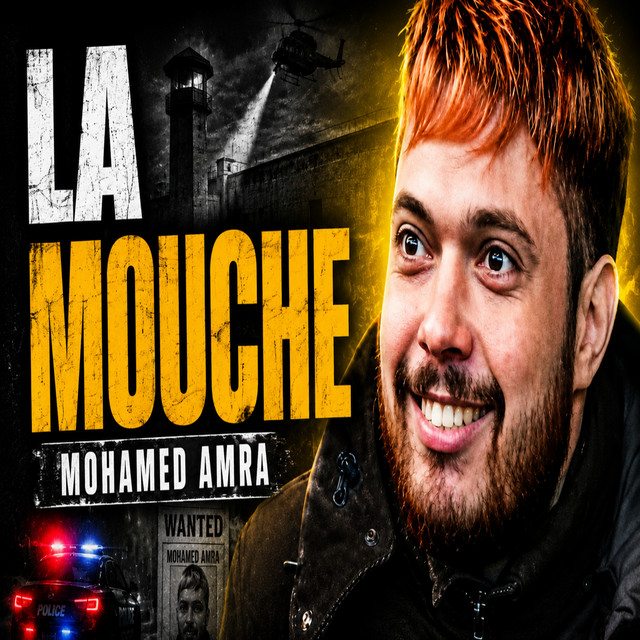 LA MOUCHE : La chute du criminel le plus recherché de France cover art