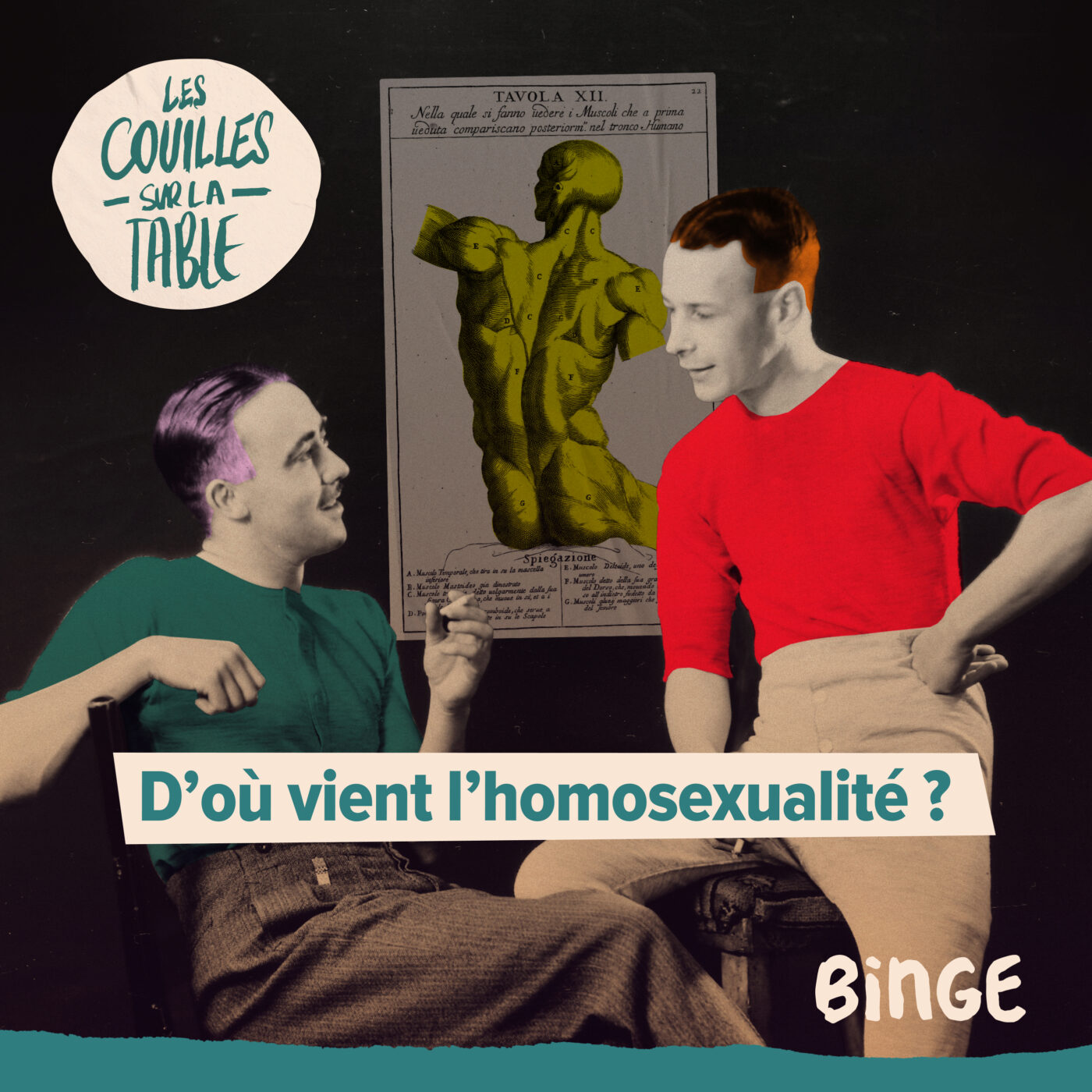 D’où vient l’homosexualité ? cover art