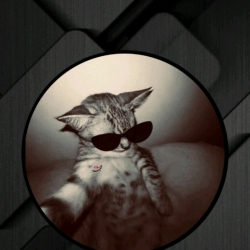 author avatar