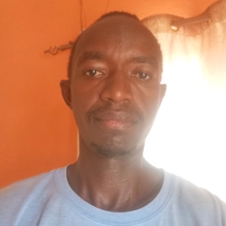 author avatar