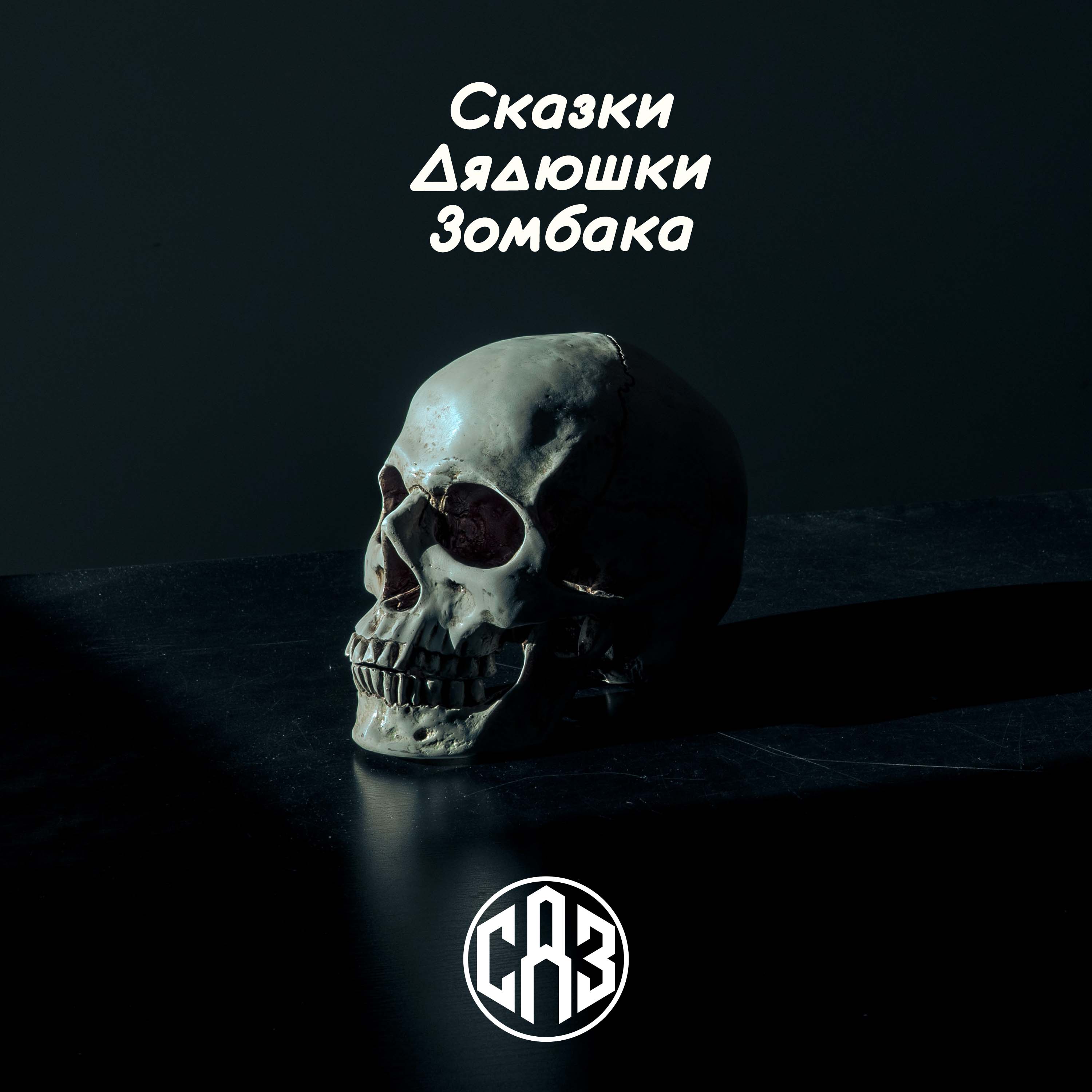 СДЗ №4 – Наука и разум cover art
