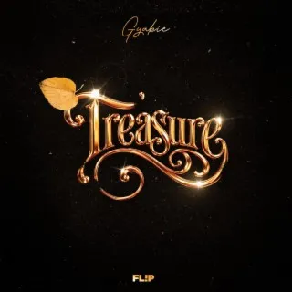 TREASURE cover art