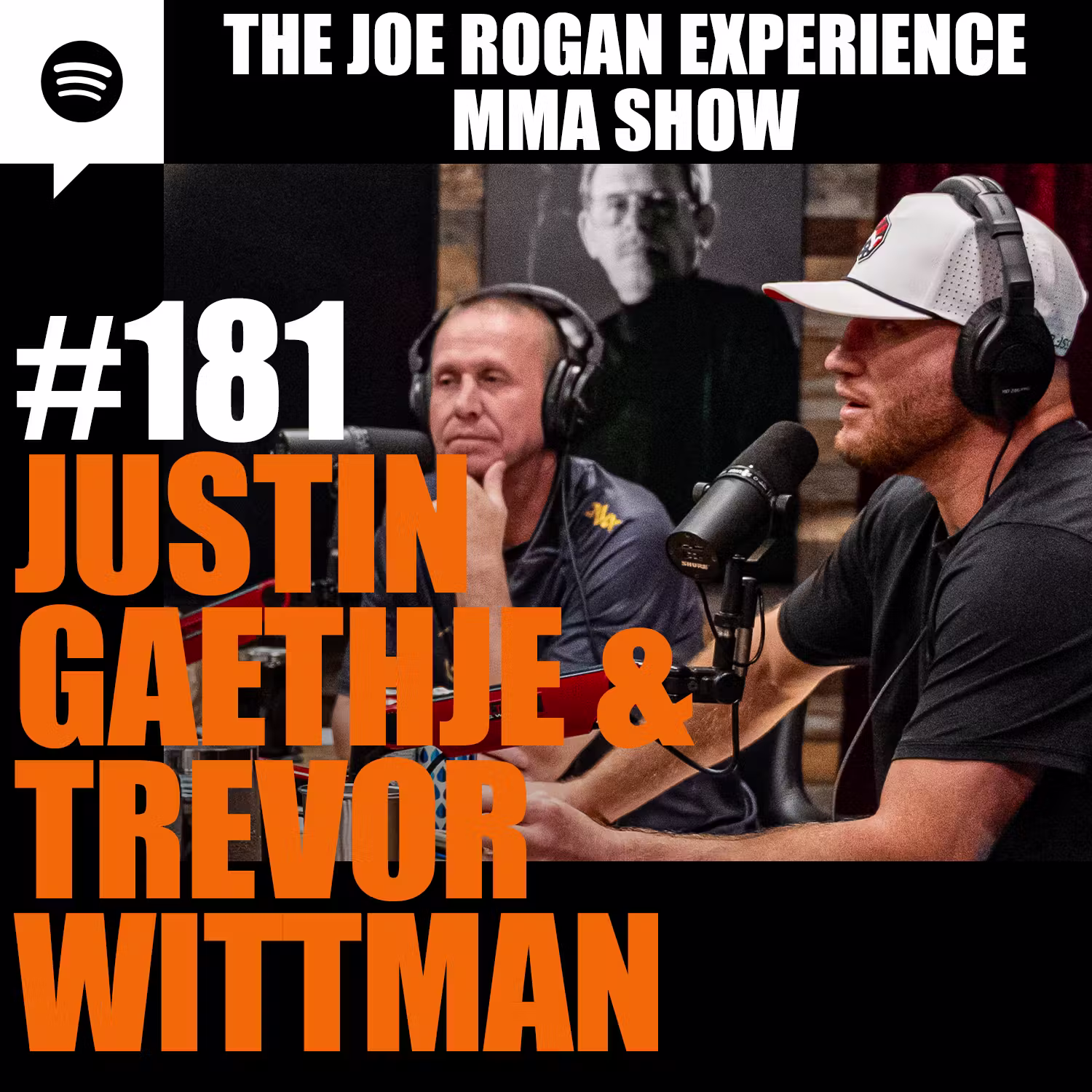 JRE MMA Show #181 with Justin Gaethje & Trevor Wittman