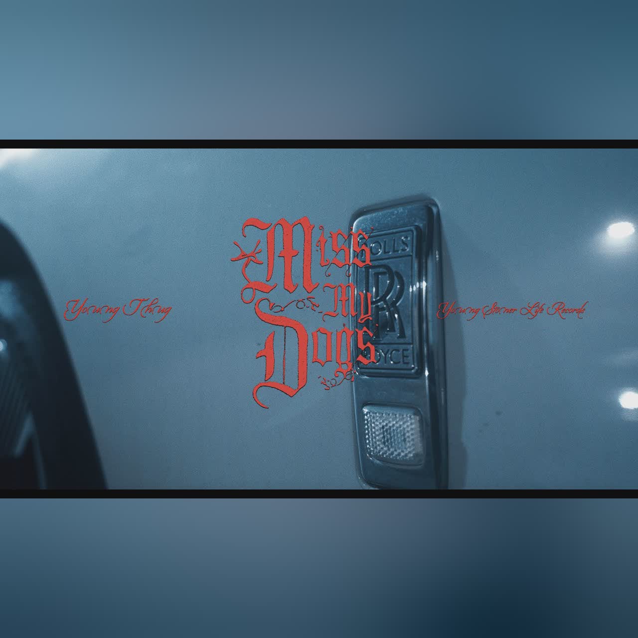 Miss My Dogs cover art
