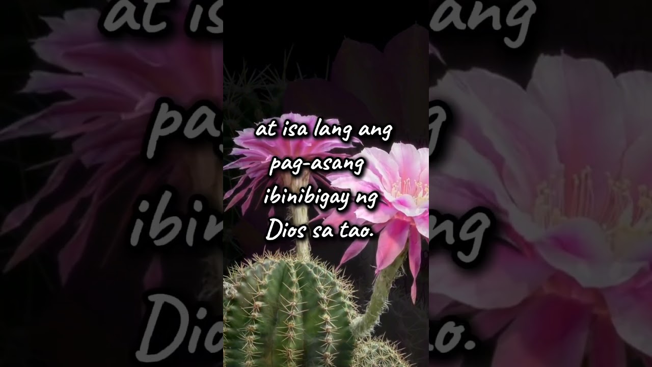 Biblical ba ang Reincarnation? #ayonsabiblia #motivation #inspiration cover art