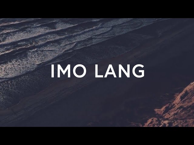 IMO LANG - Influence Worship (Cover by Melvin) | Lyrics Video cover art