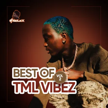 DJ Selex Best of Tml Vibez Vol 2 cover art