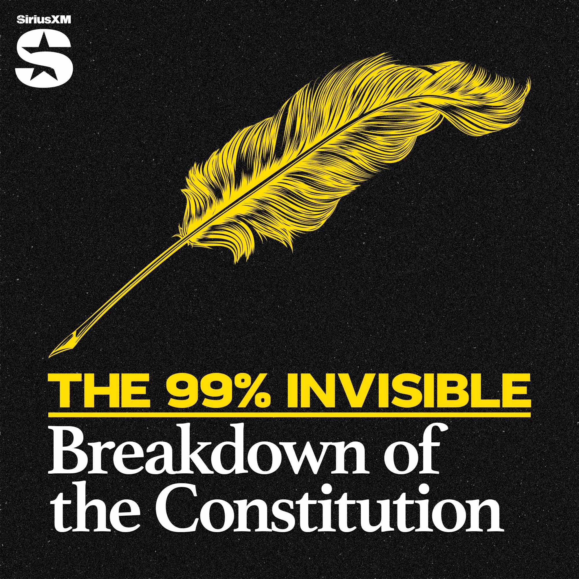 Constitution Breakdown #9: Alondra Nelson cover art