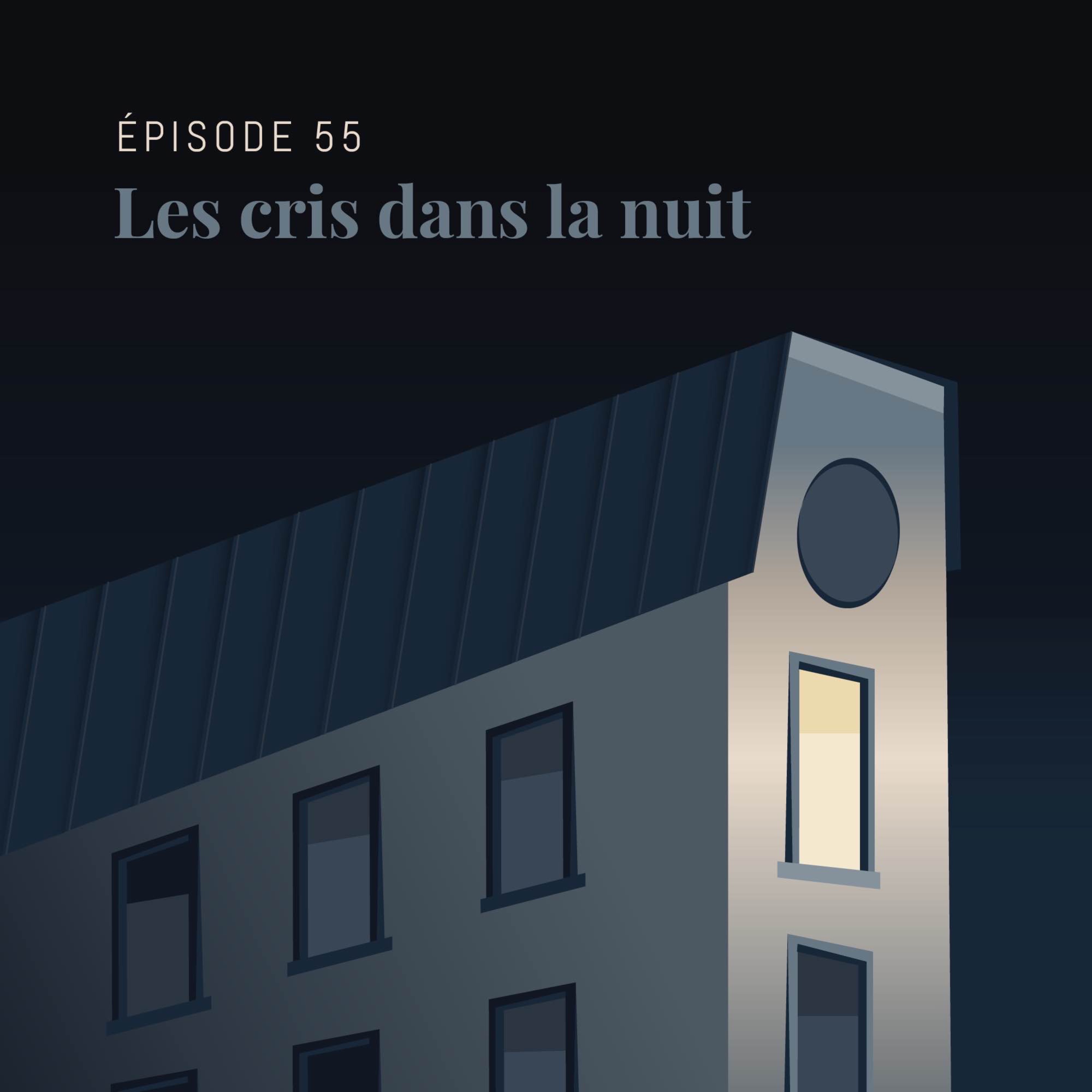 Episode 55 : Les cris dans la nuit cover art