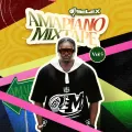 DJ Selex Amapiano Mix Vol 5