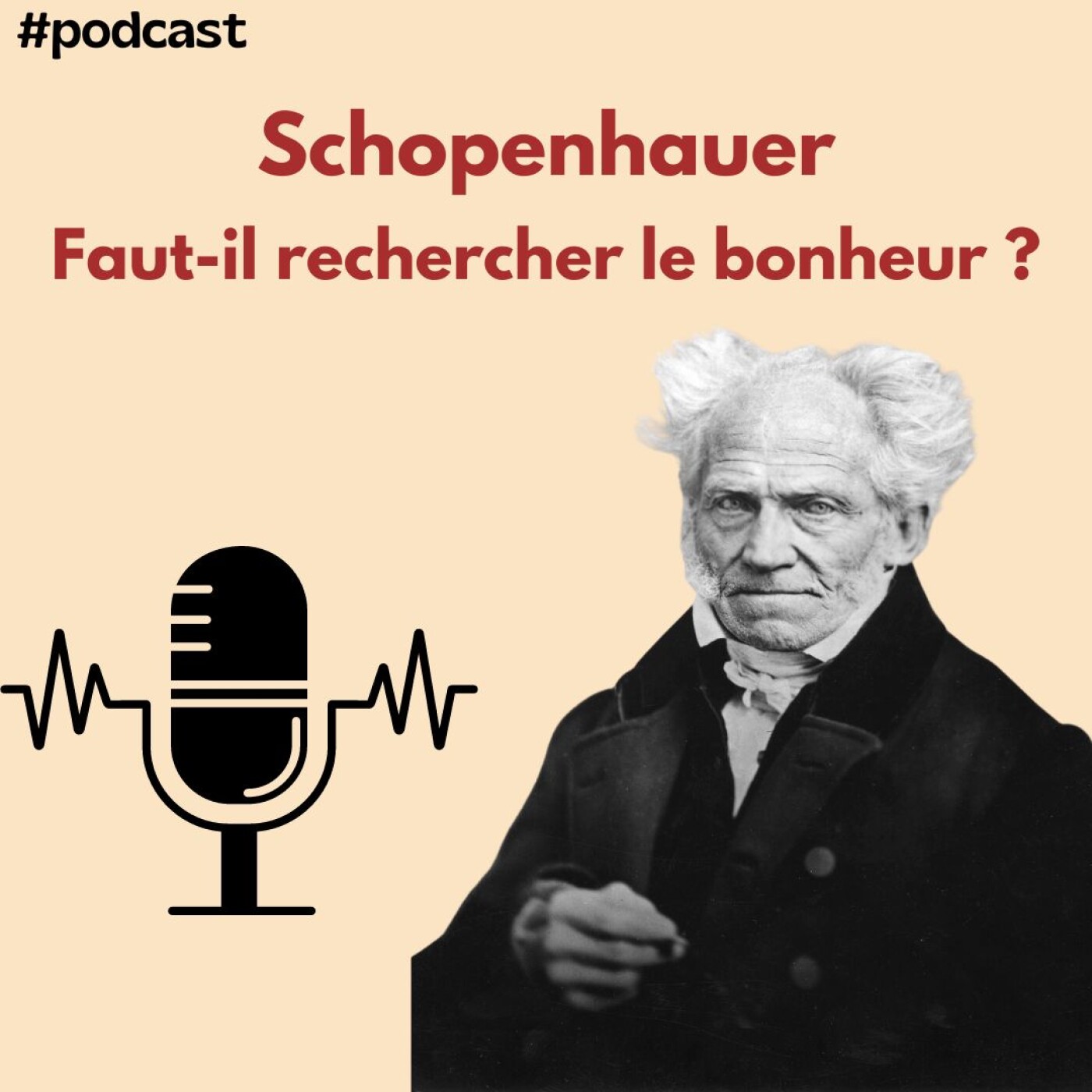 Schopenhauer : Faut-il rechercher le bonheur ?