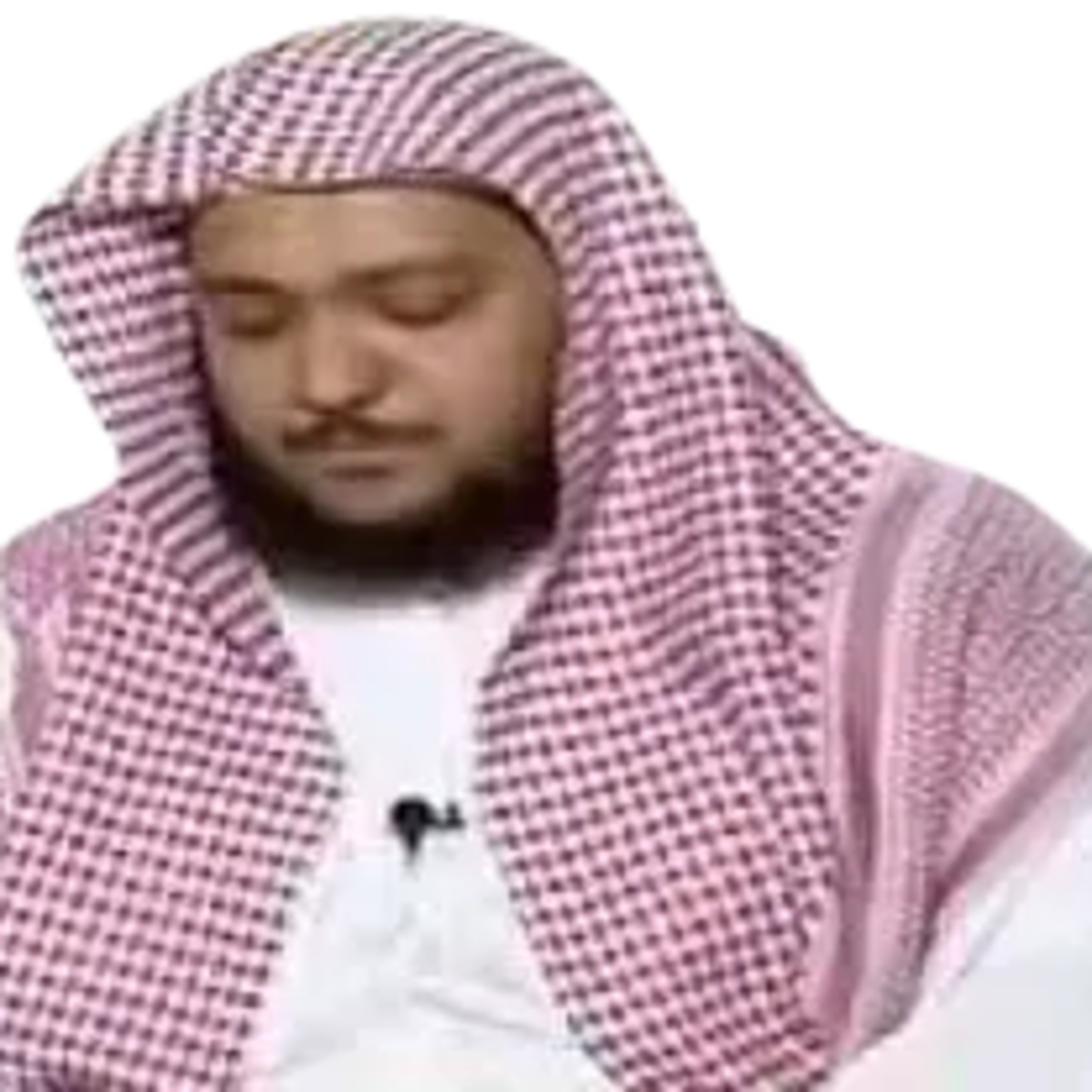 سورة العلق | يوسف العيدروس