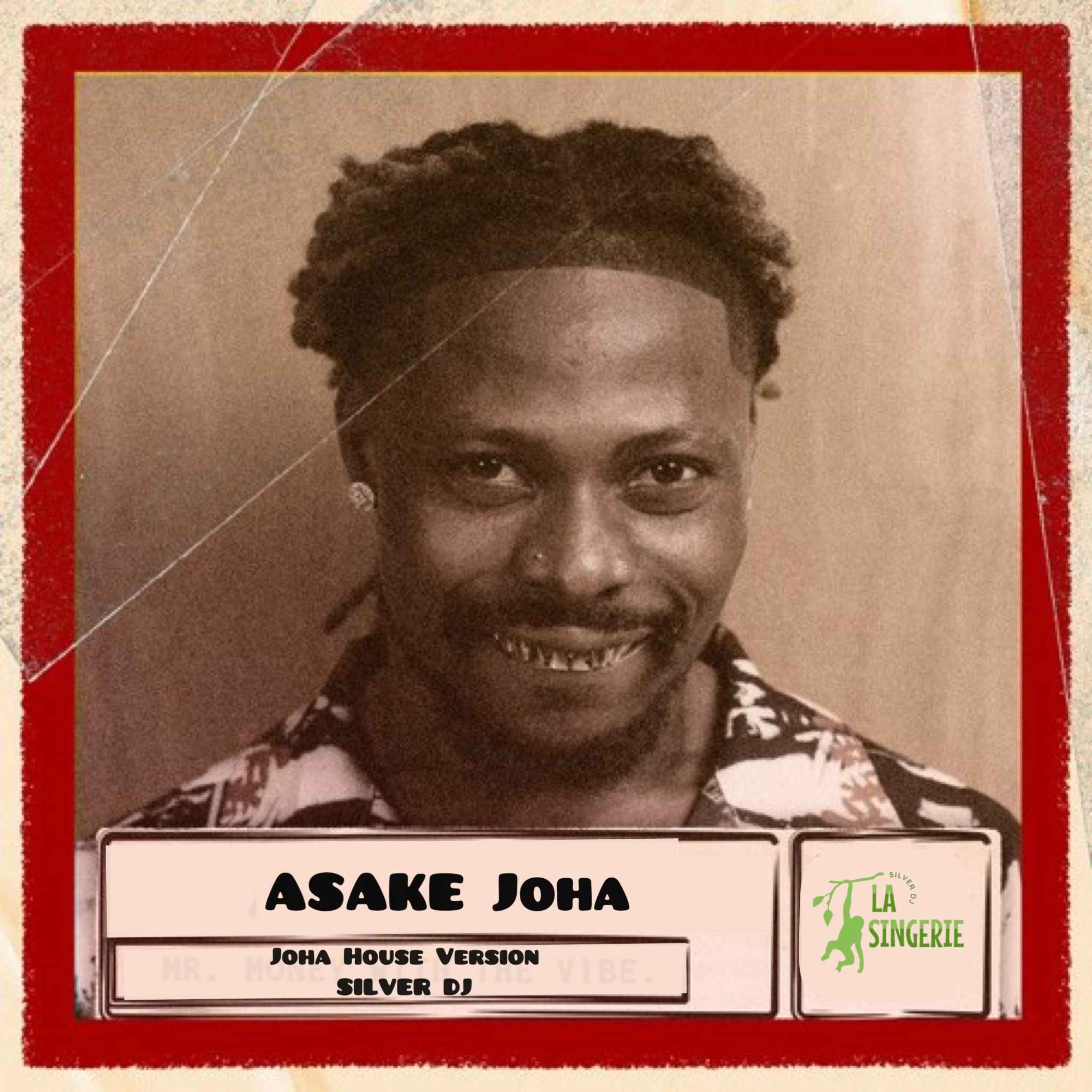 Asake Joha House ( DJ Mix ) cover art