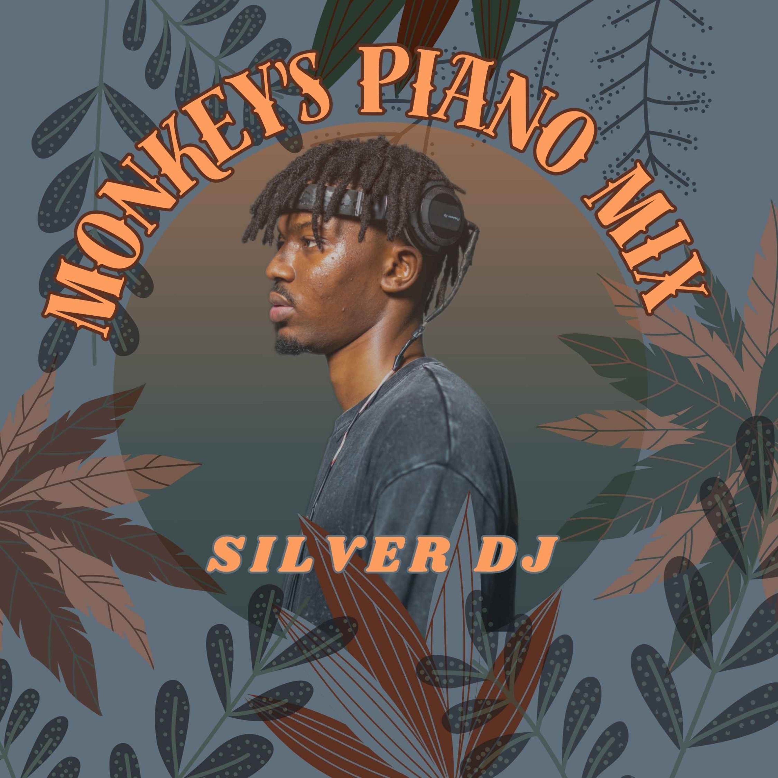 SILVER DJ