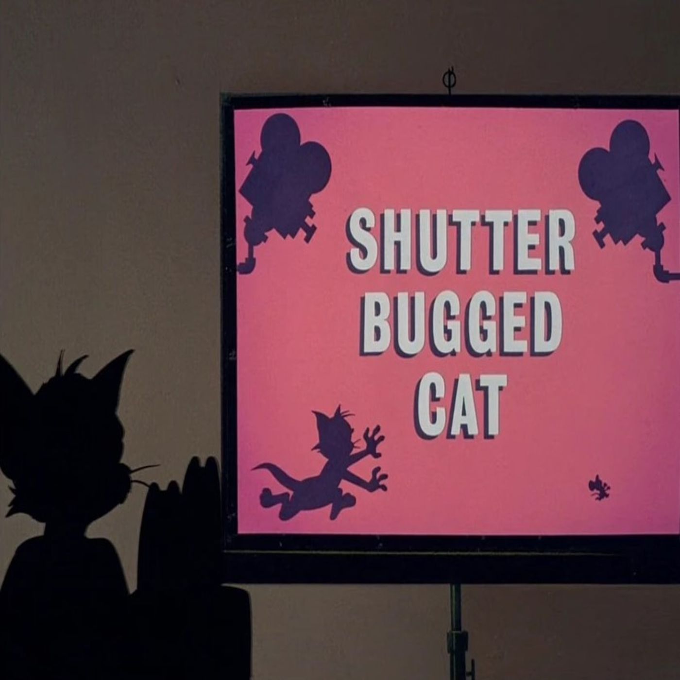 159. Shutter Bugged Cat cover art