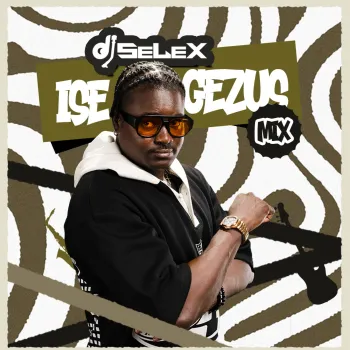 DJ Selex Ise Gezus Mix cover art