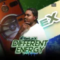 DJ Selex Different Energy Mixtape