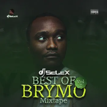 DJ Selex Best Of Brymo Mixtape Vol 2 cover art