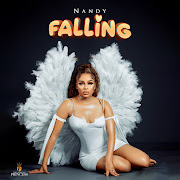 Falling cover art