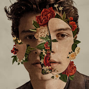 Lost In Japan cover art