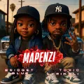 Mapenzi