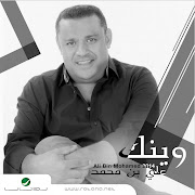 Ya Shaki Elhal cover art