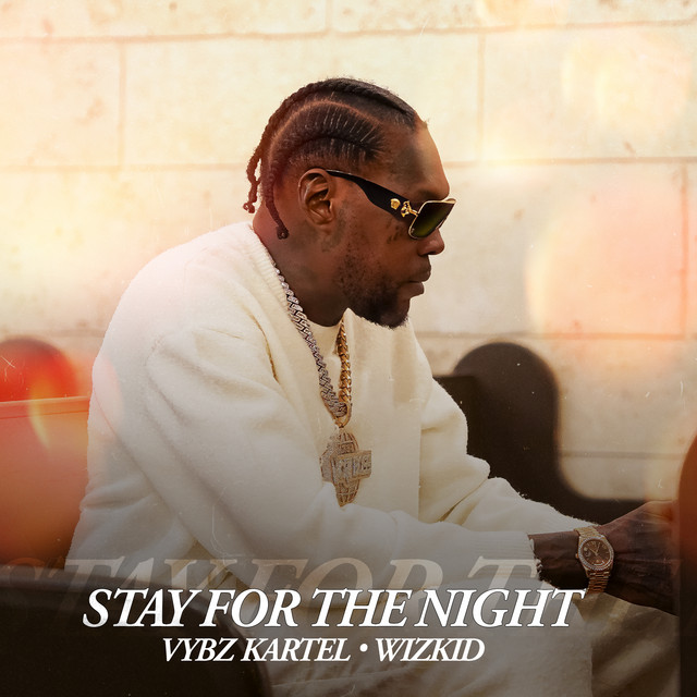 Stay For The Night cover art