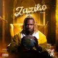 Zaziko (feat. Kayz Adam)