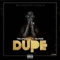 DUPE (feat. Temadey)