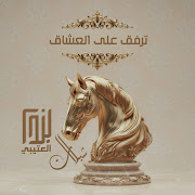 وعود الحرار cover art