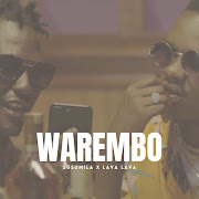 Warembo (feat. Lava Lava) cover art