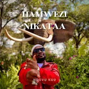 Hamwezi Nikataa cover art