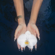 blooming (Shaz's Lullaby)