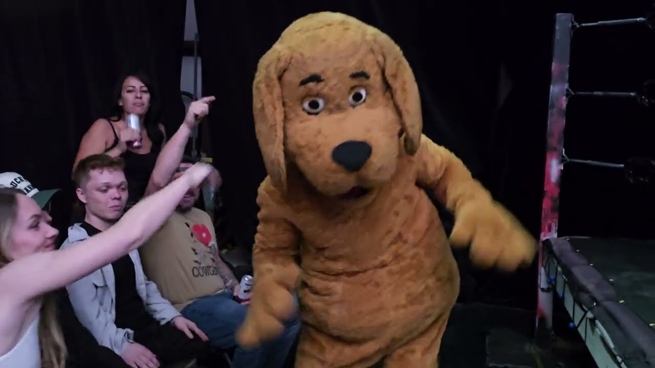 @loisgrain as "Kristi Noem" vs Cricket the Dog | THE ULTIMATE POLITICAL SMACKDOWN!