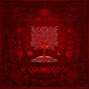 Le contrat cover art