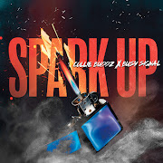 Spark Up cover art