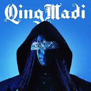 Vision cover art
