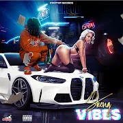 Vibes cover art