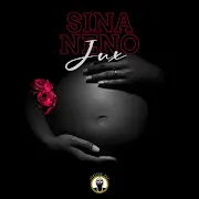 Sina Neno cover art