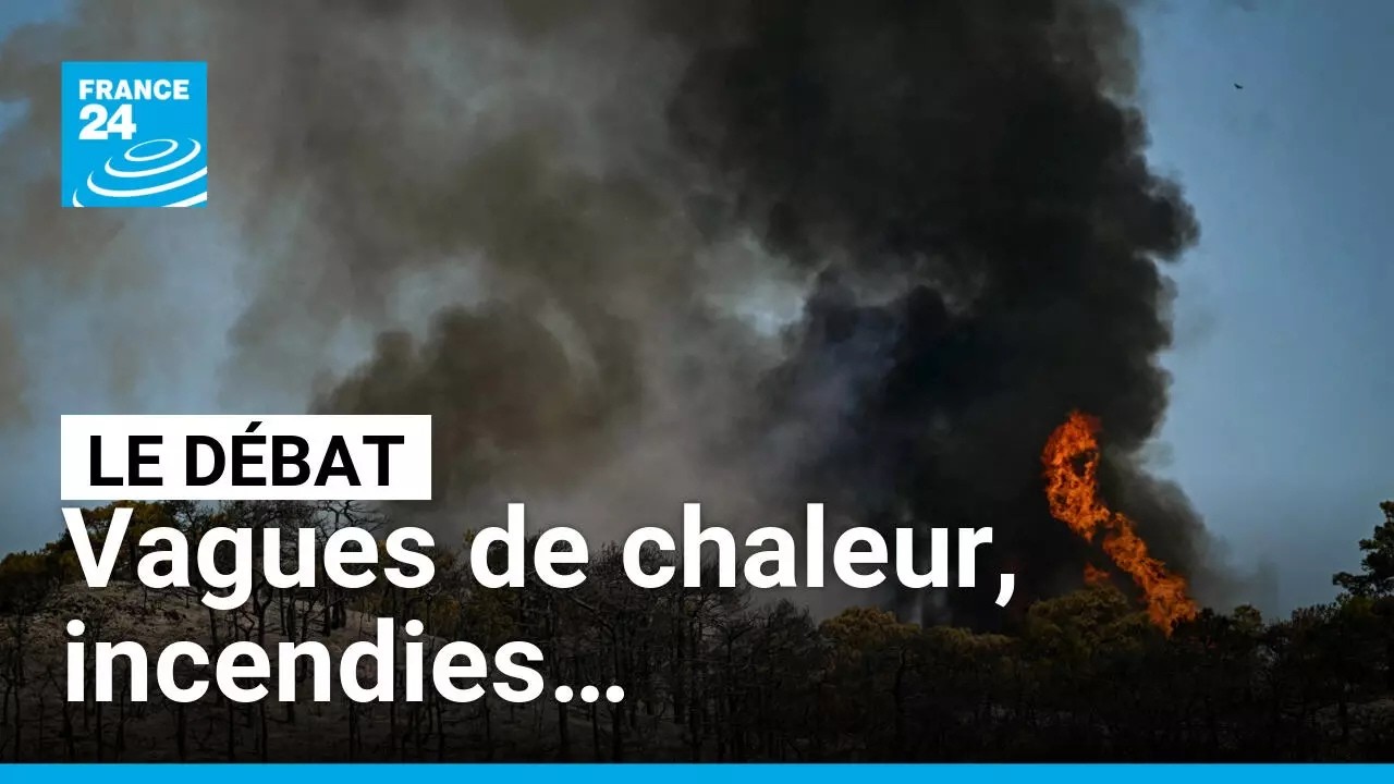Canicule : l'été de tous les dangers ? • FRANCE 24 cover art
