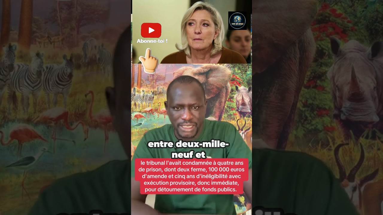 🚨 Marine Le Pen condamnée : 4 ans de prison, une lourde amende et 5 ans d'inéligibilité ! partie 2 cover art
