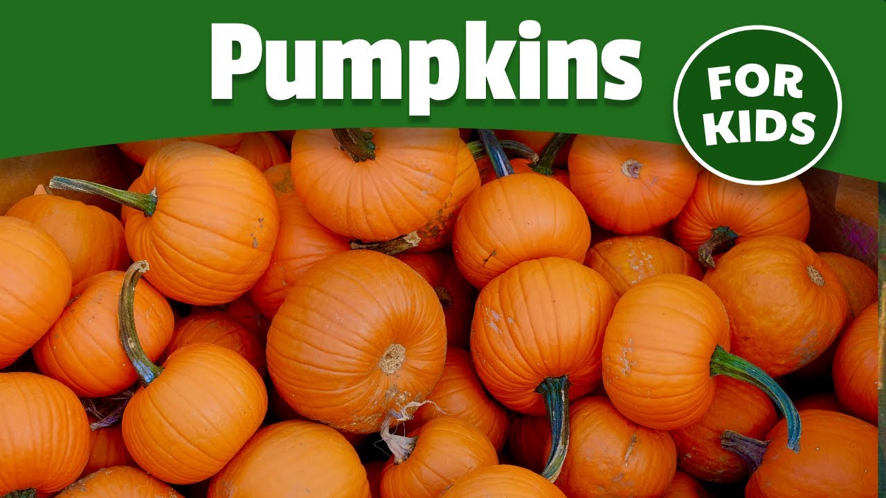 The History of Pumpkins | Simple History cover art
