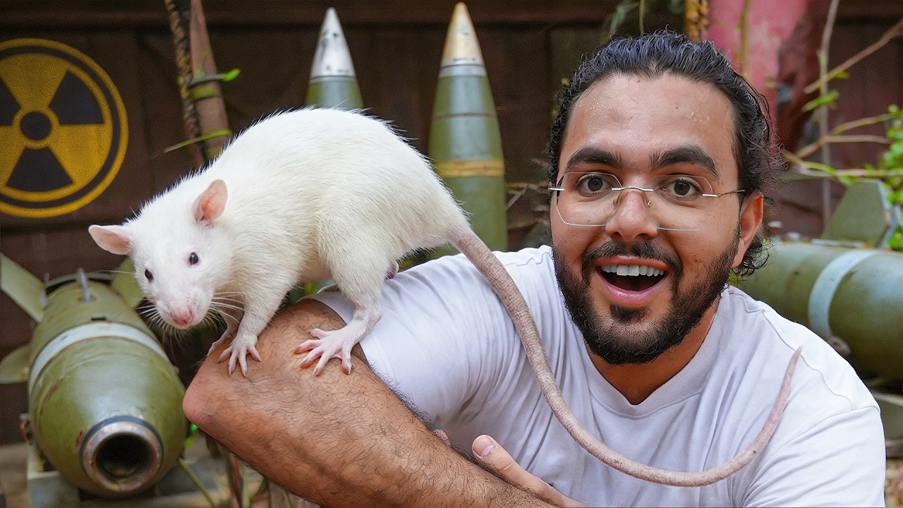 The Superhero Rats that Defuse Bombs cover art
