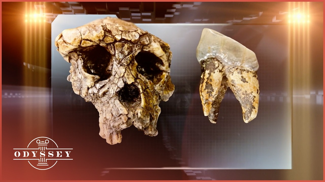 Archeologists Investigate The Earliest Human Footprint Ever Found cover art